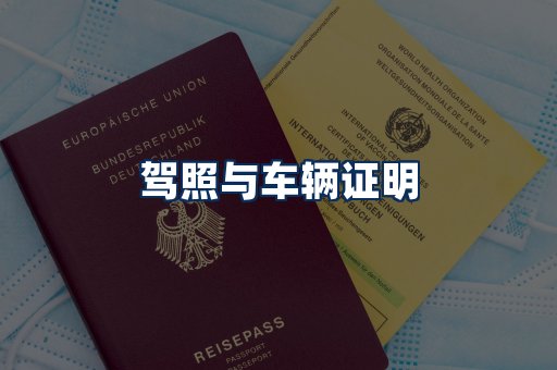车辆证明展示