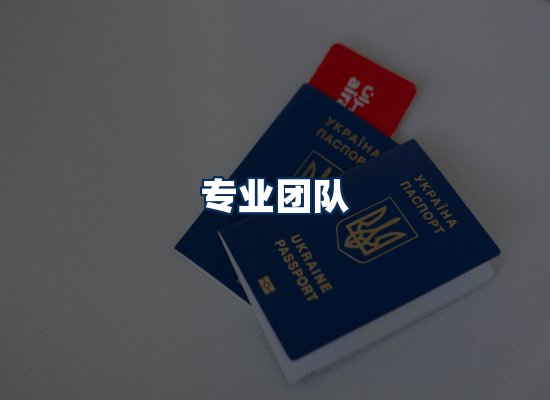 专业团队