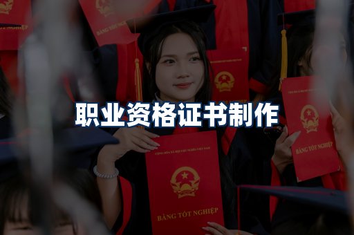职业资格展示